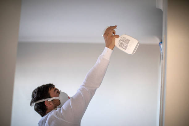 Best Office Mold Removal Services  in Grand Marais, MN